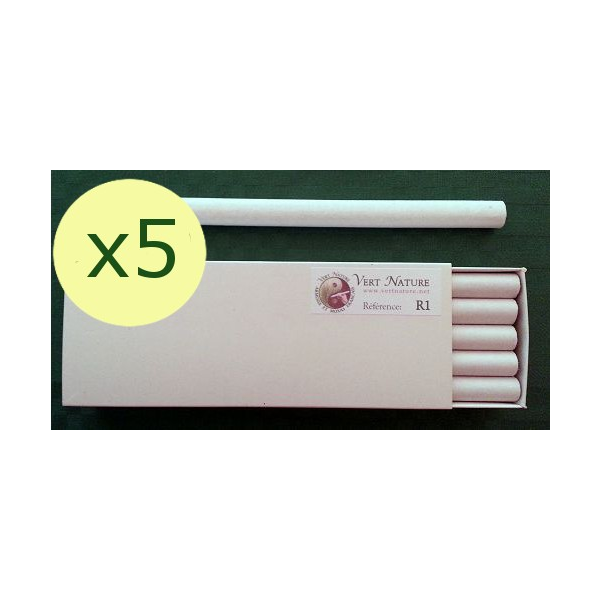 R1-Moxa