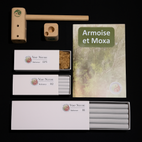 Kit de Moxibustion pour étudiant