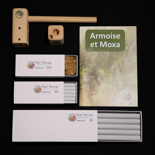 Kit de Moxibustion pour étudiant