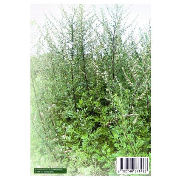 Livret "Armoise et Moxa" ISBN 978 2 7466 7149 2