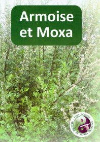 Mugwort and Moxa booklet | Moxibustion guide