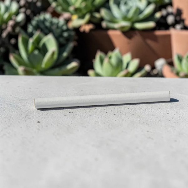 Moxa d'armoise type R1