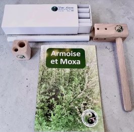 Contenu du kit de moxibustion intiation