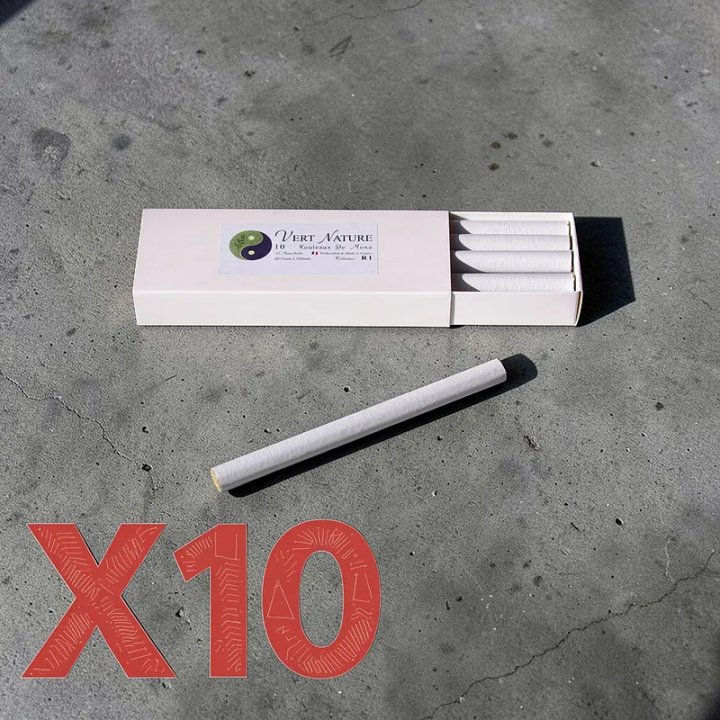 Packung mit 10 Kisten MOXA R1
