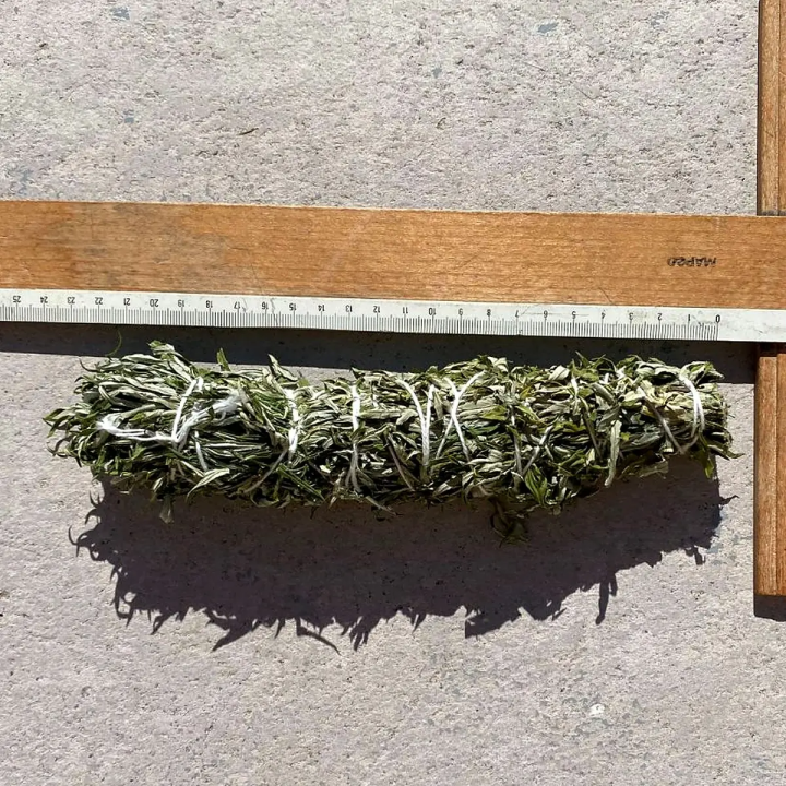 Bouquet de fumigation armoise du 21 Juin à côté d'une règle de mesure