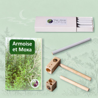 Moxibustions-Startset | Einstieg in die Moxibustion