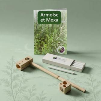 Kit de moxibustion Initiation