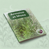 Cuaderno Artemisa y Moxa | Guía de moxibustión