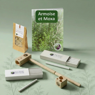 Kit de moxibustión para estudiantes | Moxa y accesorios