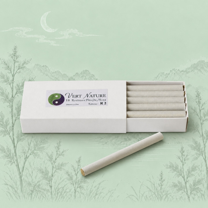 Kit de moxibustión para estudiantes | Moxa y accesorios