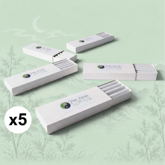 Bâtons de moxa R1 – lot de 5 boîtes, fabriqué en France
