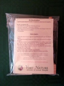 Kit de Moxibustion classique