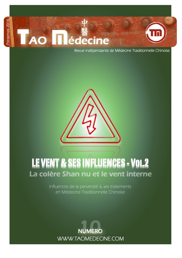 Magasine Tao Médecine n°10 (mars 2016)-extrait5.png
