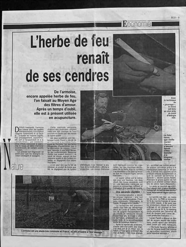 Article de presse consacré à la fabrication française de moxa d'armoise chez Vert Nature