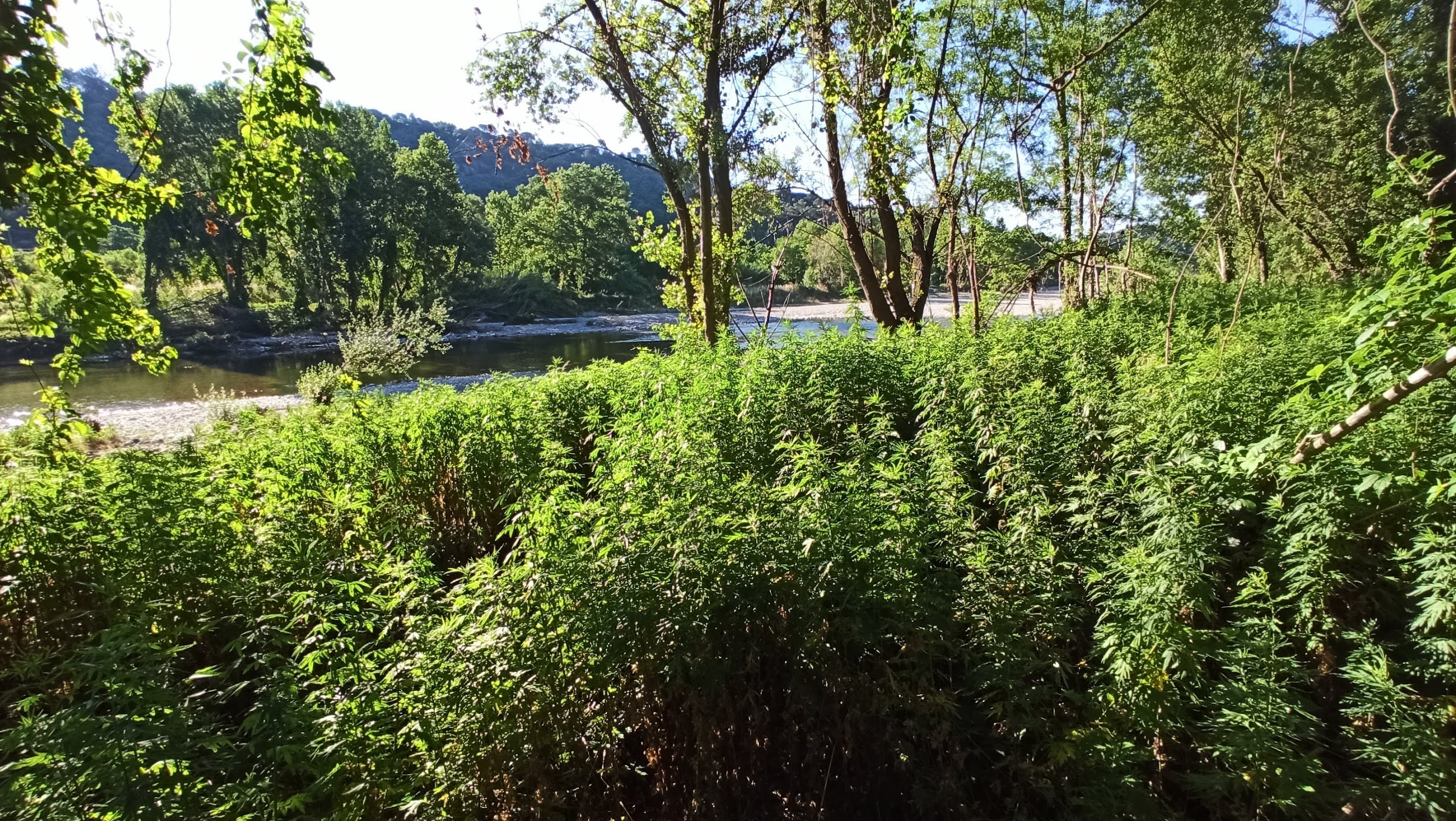 Produkte für die Moxibustion